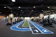 Motor City