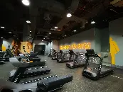 Silicon Oasis