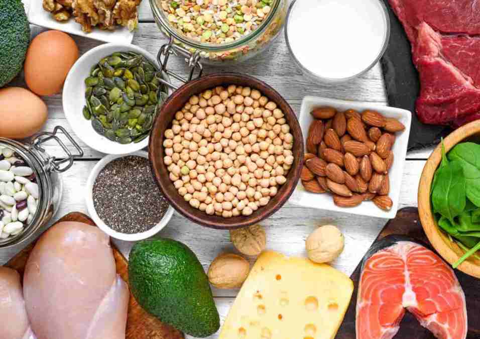 protein food