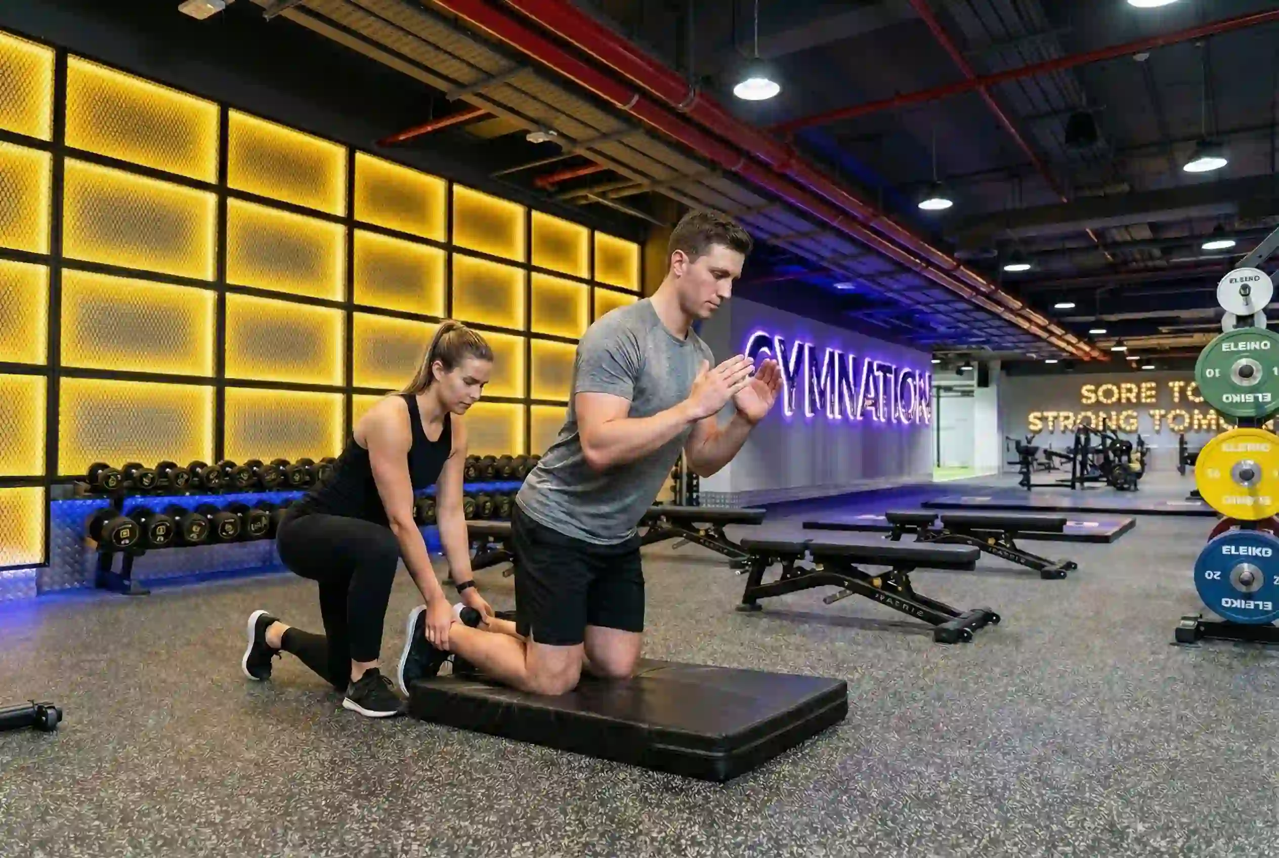 Assisted Inverse Leg Curl