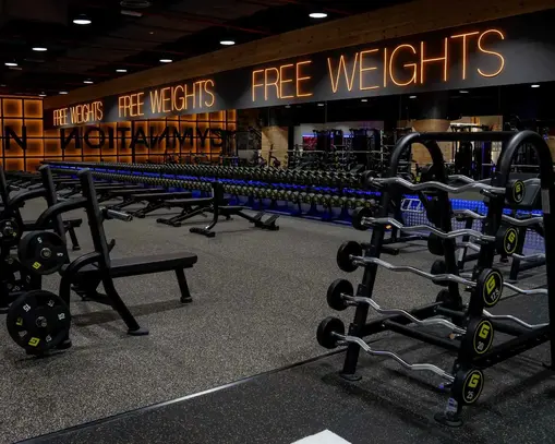 free weights areas