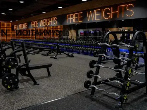 free weights areas