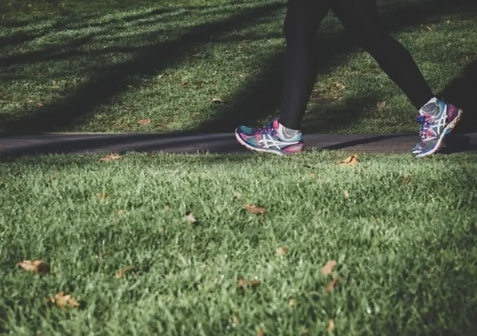 Uks Low Physical Activity Ranks 11Th In European Study