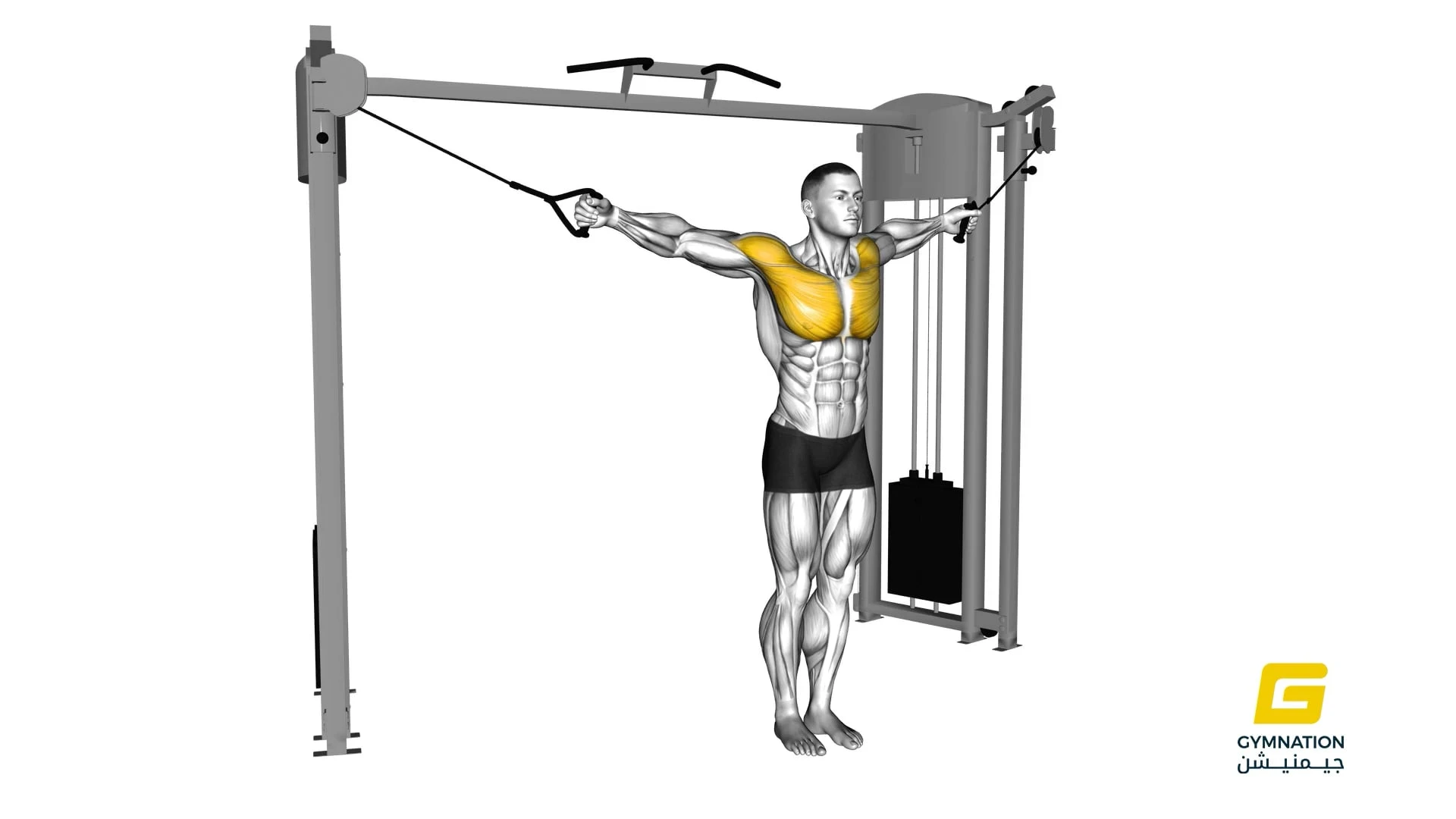 Cable Crossover Variation Thumb