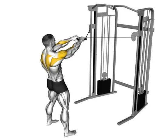Cable Standing Face Pull Thumb