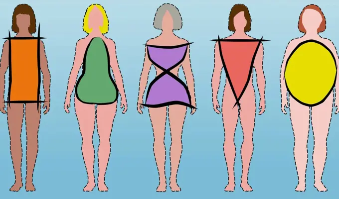 Women body shapes