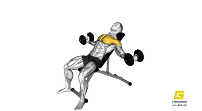 Dumbbell Incline Fly Thumbnail