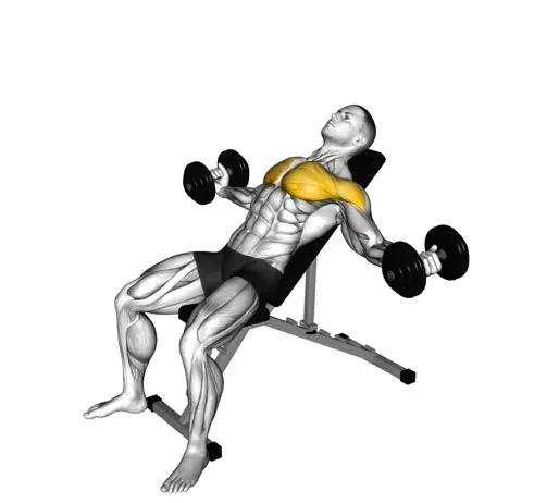 Dumbbell Incline Fly Thumbnail