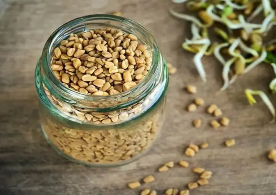 وعاء زجاجي مليء ببذور الحلبة، مع بذور مستنبتة متناثرة على سطح خشبي، يوحي بفوائد الحلبة للنساء.