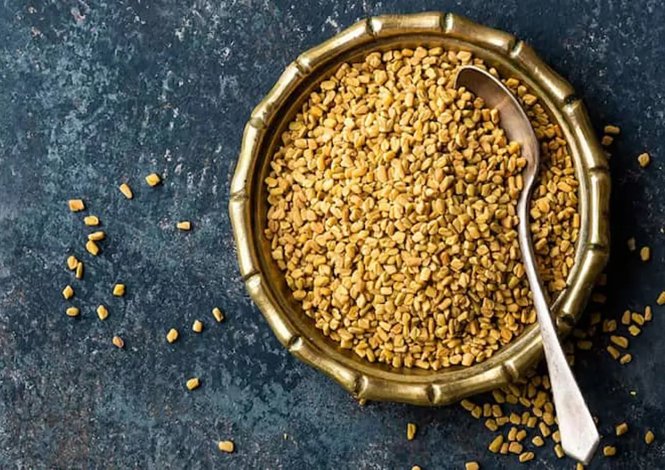 وعاء نحاسي فيه بذور حلبة وملعقة، يوحي بأضرار الحلبة للنساء وأهم الحقائق الطبية والنصائح.