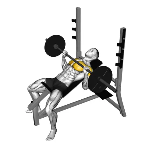 Barbell Incline Bench Press Thumbnail