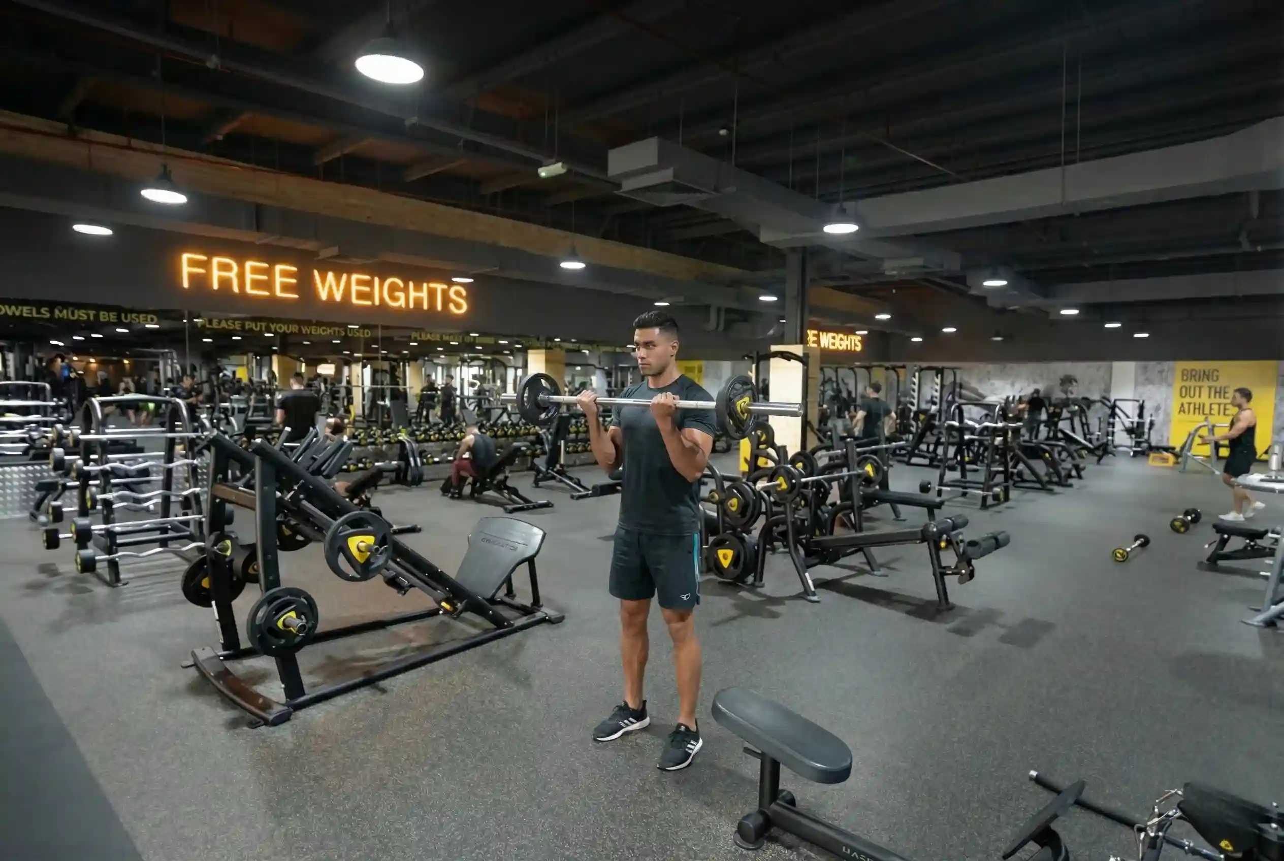 Barbell Curl
