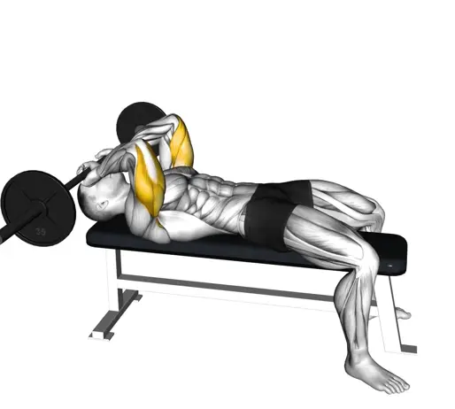 Barbell Lying Triceps Extension Skull Crusher Thumb