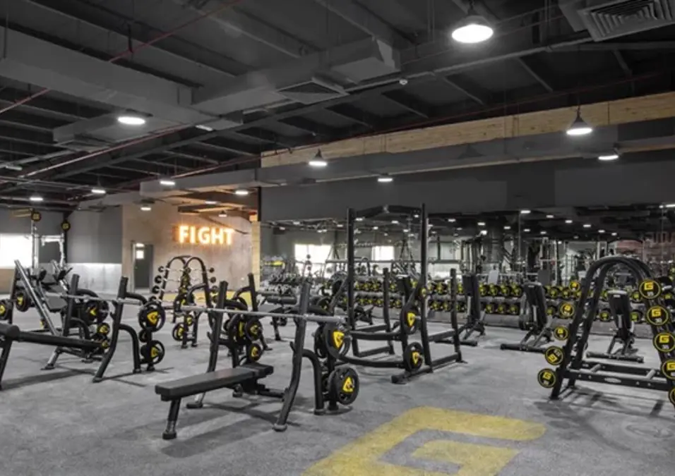 Free Weights Zone