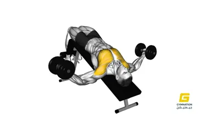 Dumbbell Decline Fly Thumb