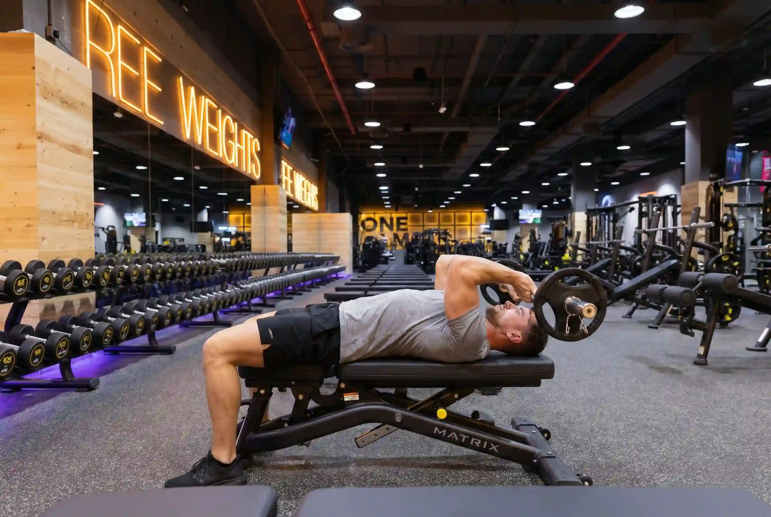 Barbell Lying Triceps Extension Skull Crusher