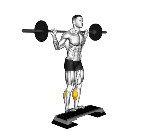 Barbell Standing Leg Calf Raise Thumb