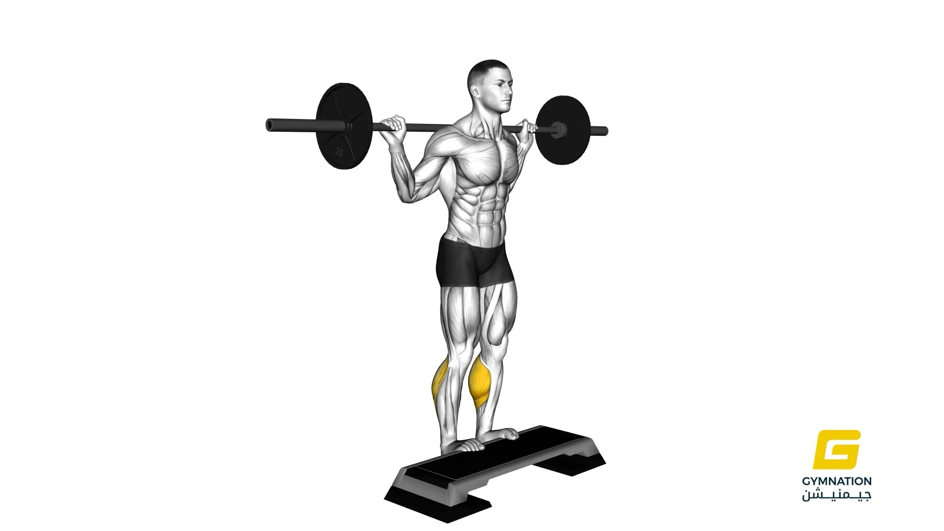 Barbell Standing Leg Calf Raise Thumb