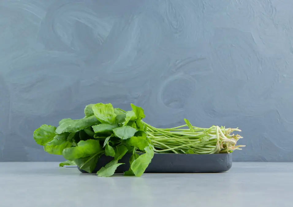 حزمة من الجرجير الطازج على صينية داكنة، توحي بفوائده للبشرة لنضارة طبيعية بأسهل طريقة.