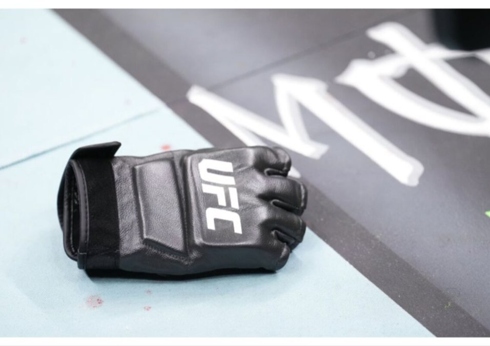 glove