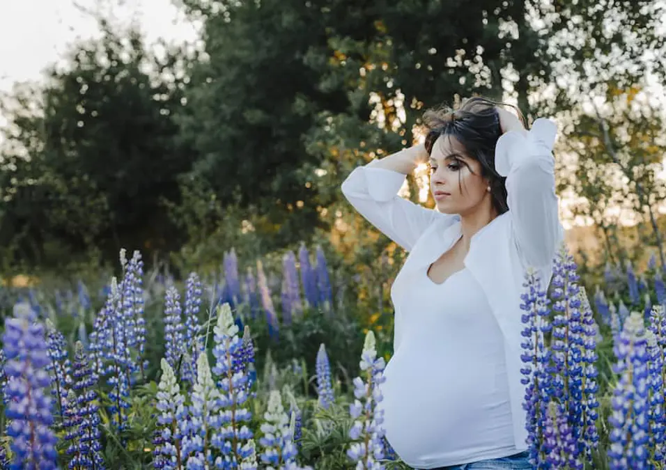 Pregnant Woman Stands Lupines Field Sunset