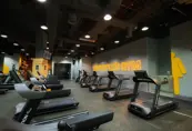 Silicon Oasis Gym Cardio Area