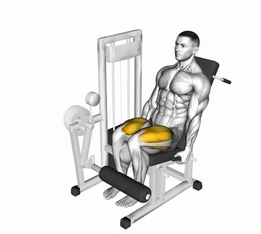 Lever Leg Extension Thumb