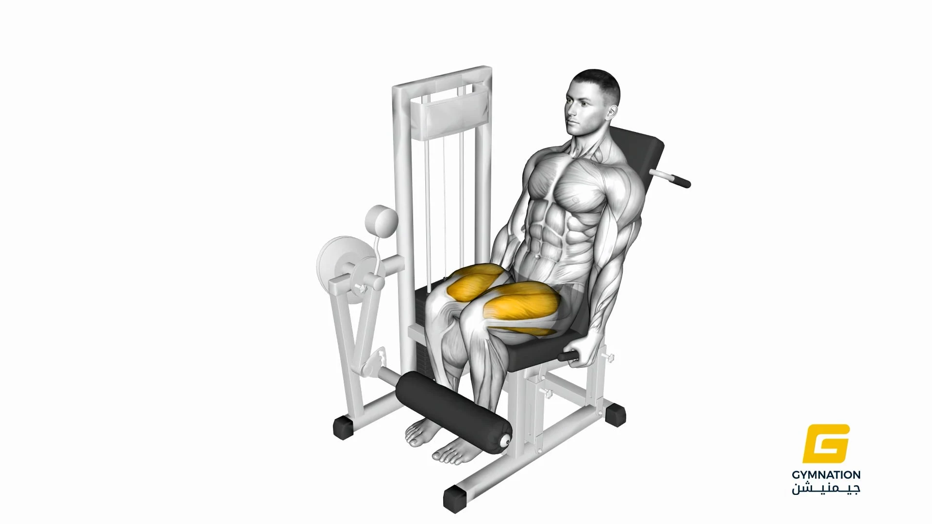 Lever Leg Extension Thumb