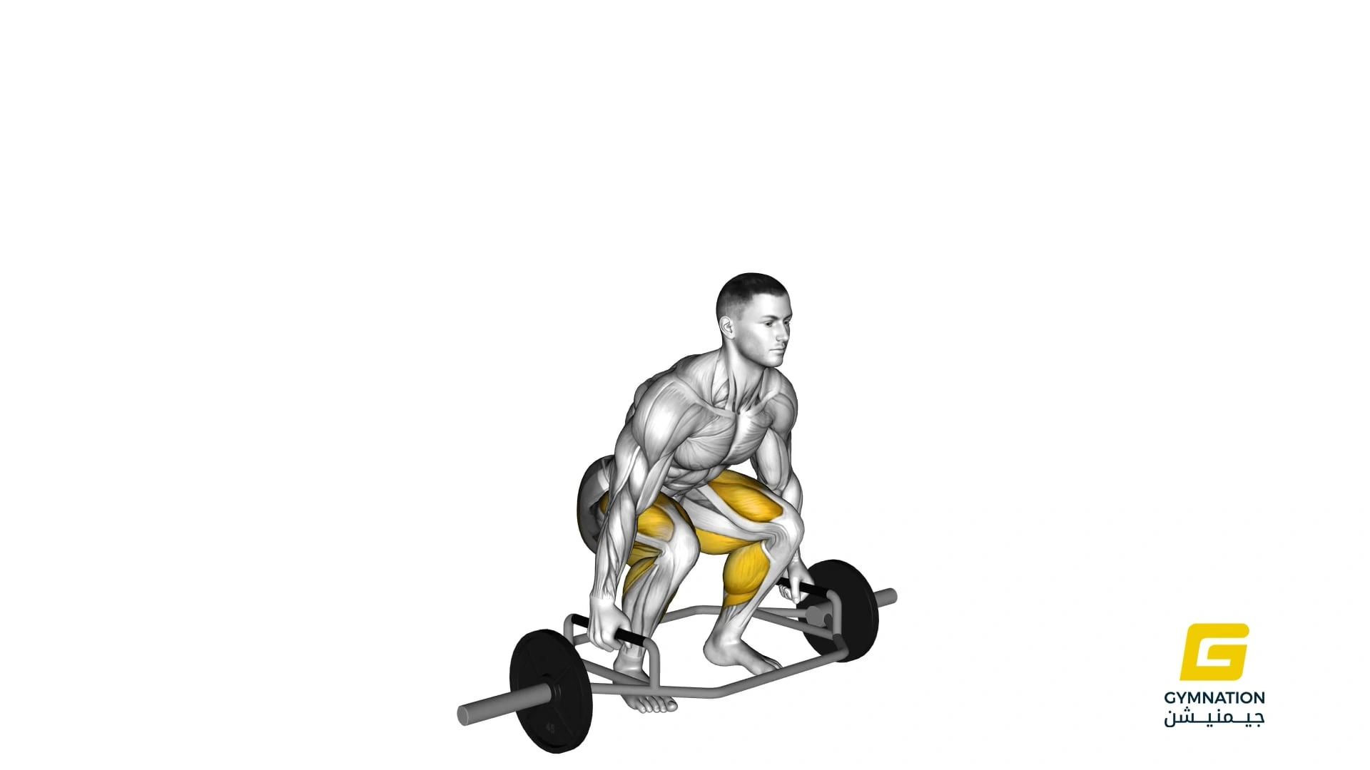 Trap Bar Deadlift Thumb