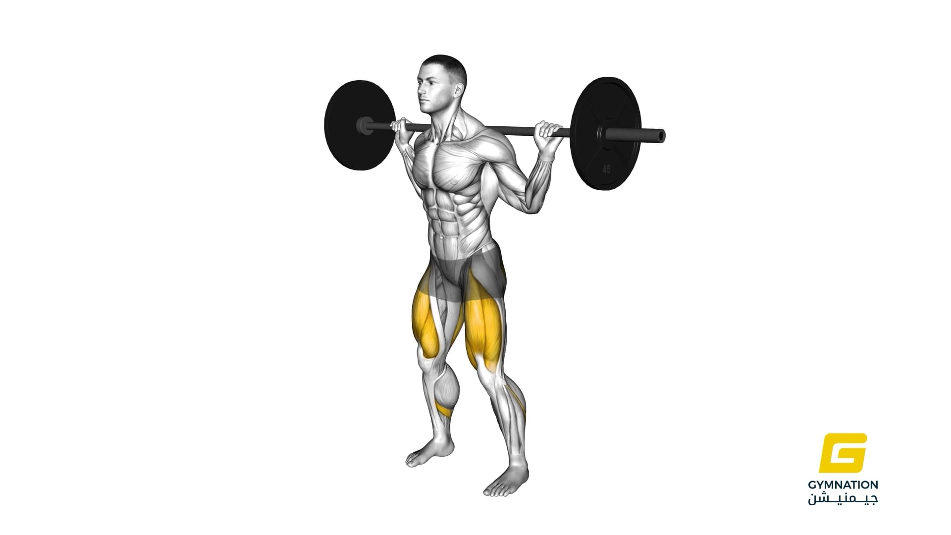 Barbell Full Squat Thumb