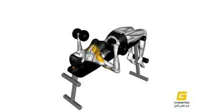 Dumbbell Decline Bench Press For Ladies Thumb