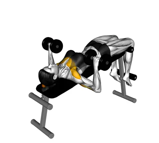 Dumbbell Decline Bench Press For Ladies Thumb