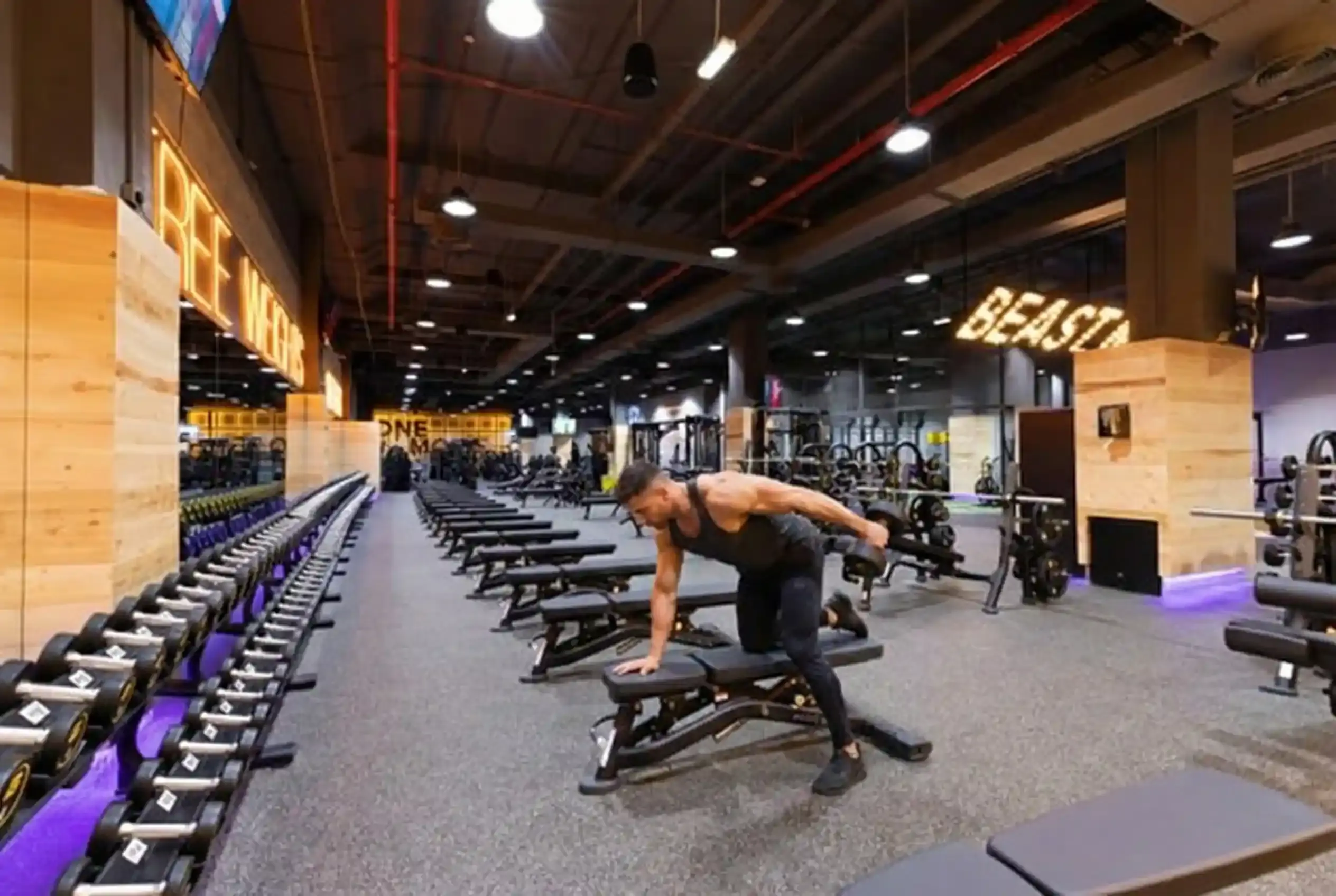 Dumbbell Kickback