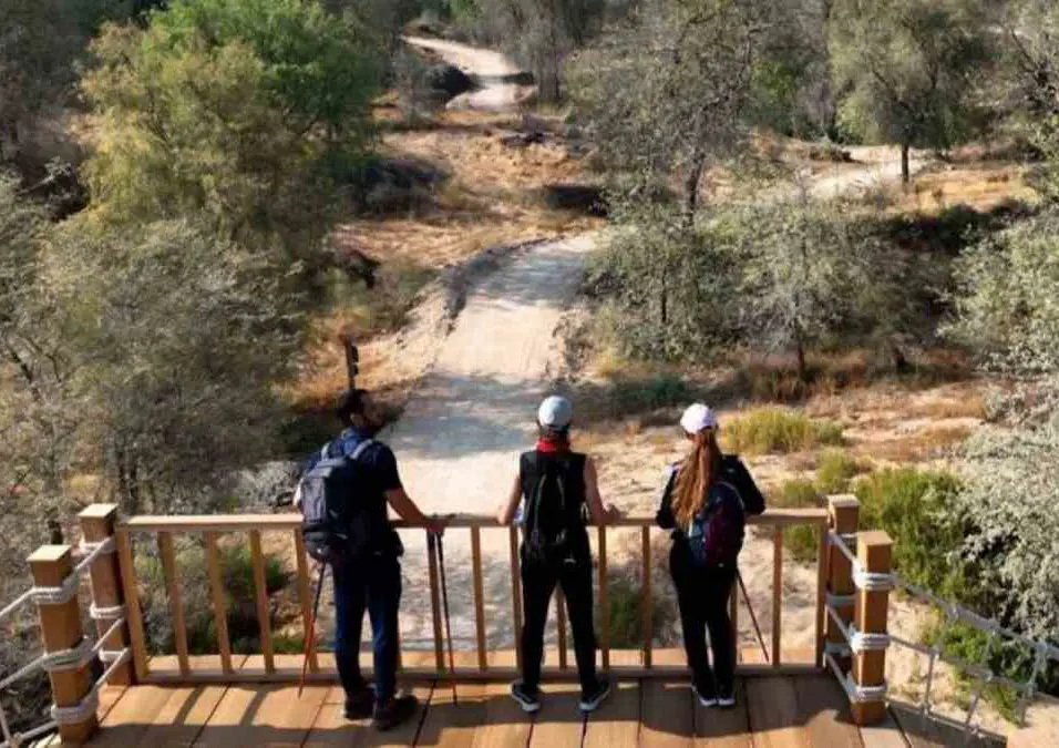 Spartan Trail Run
