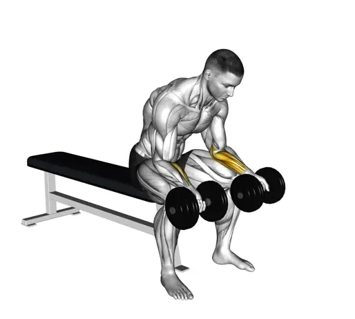 Dumbbell Seated Palms Up Wrist Curl Thumb