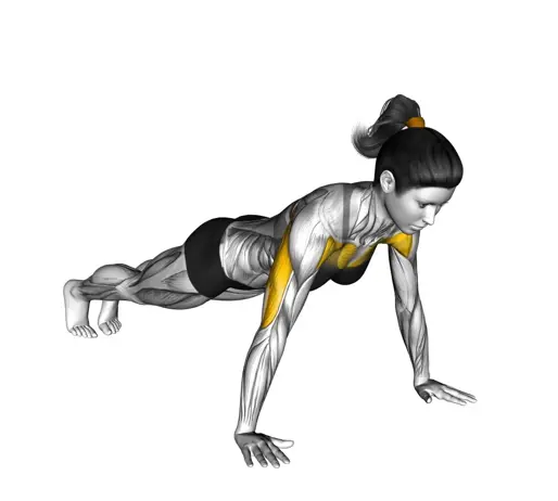 Push Up For Ladies Thumbnail