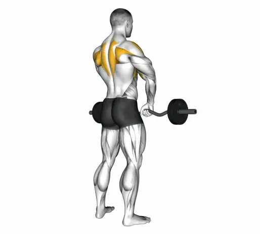 Barbell Upright Row Thumb