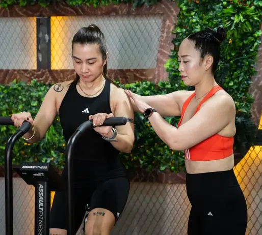 Gymnation Is Perfect For Beginners