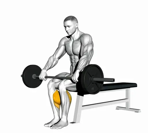 Barbell Seated Calf Raise Thumb
