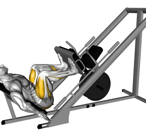 Sled 45 Degrees Leg Press Thumb