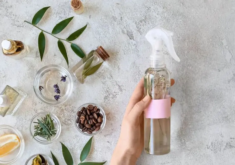 لقطة من الأعلى ليد تمسك بزجاجة بخاخ شفافة تحتوي على منقوع أعشاب، محاطة بمكونات طبيعية مختلفة مثل حبوب البن، وشرائح الليمون، وإكليل الجبل، والخزامى على سطح فاتح اللون، مما يتساءل عن فوائد الميرمية للشعر في تقليل التساقط وتأخير الشيب.