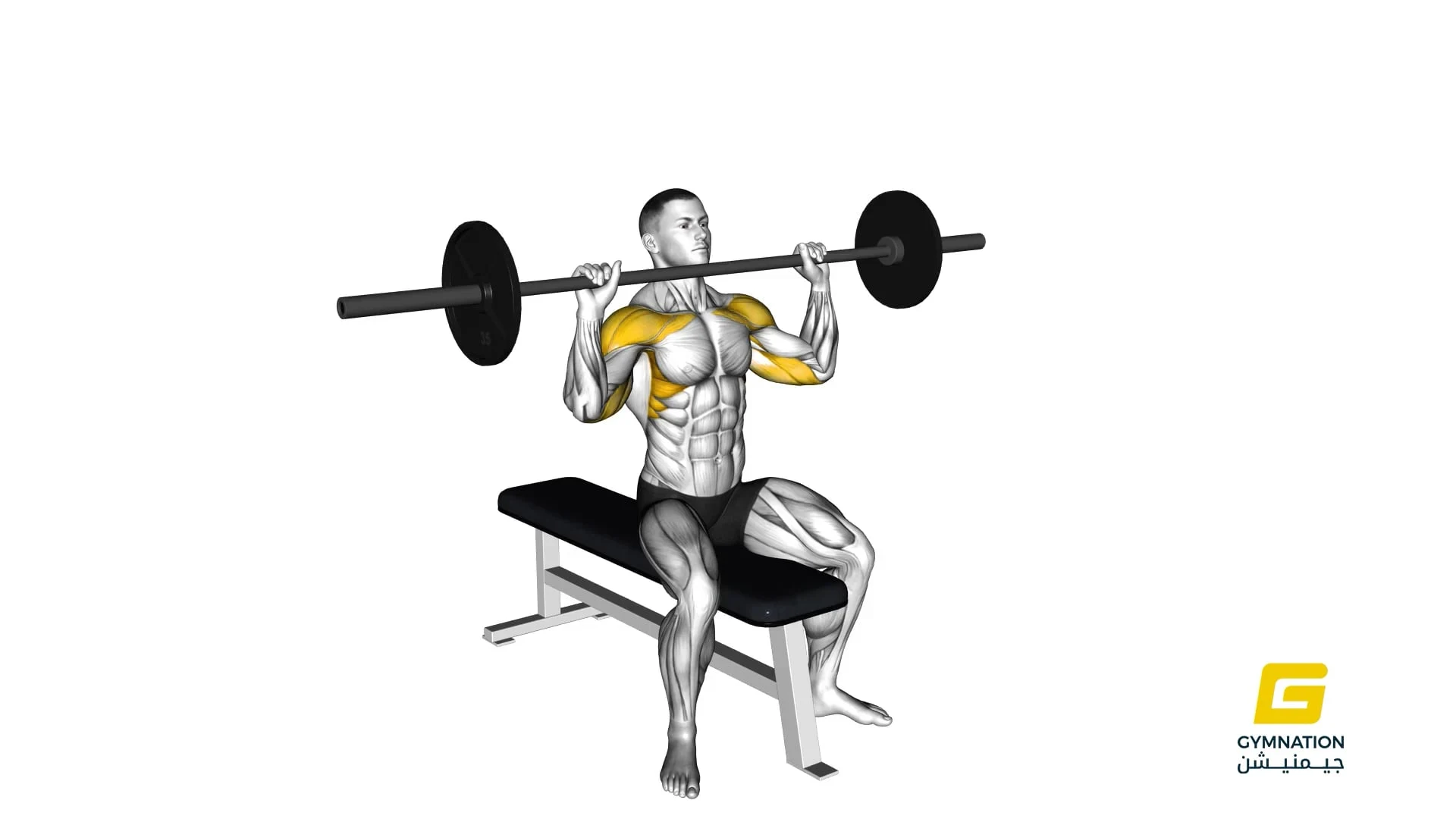 Barbell Seated Overhead Press Thumb