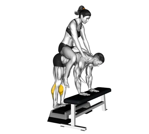 Weighted Donkey Calf Raise Thumb