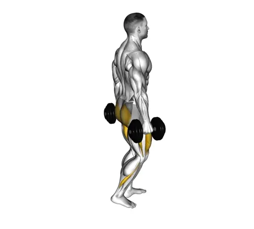 Dumbbell Rear Lunge Thumb