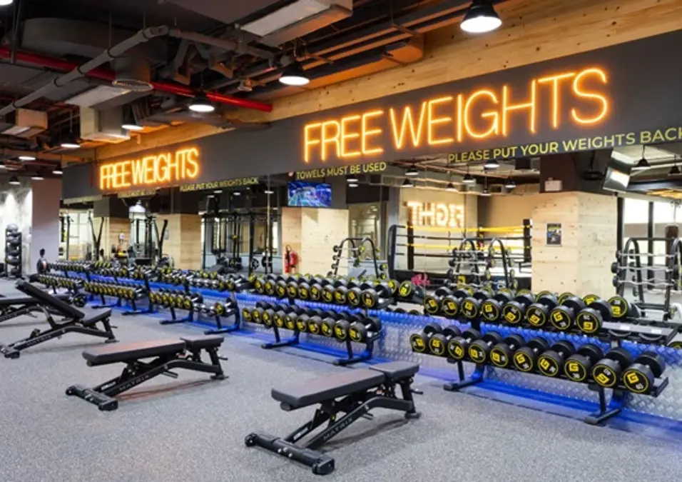 Free Weights Mc