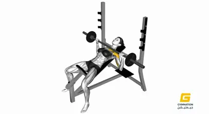 Barbell Incline Bench Press For Ladies Thumbnail