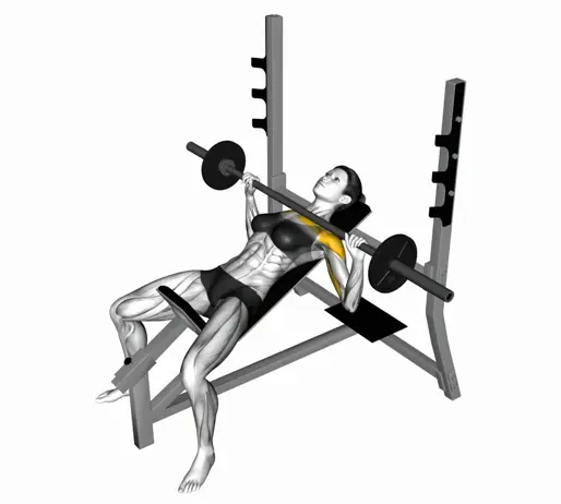 Barbell Incline Bench Press For Ladies Thumbnail