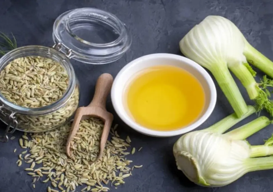 منظر علوي لبصلات الشمر، ووعاء من بذور الشمر، ووعاء فيه شاي (أو زيت) الشمر، يوحي بفوائد شرب الشمر للنساء لراحة وخفة طوال الشهر.