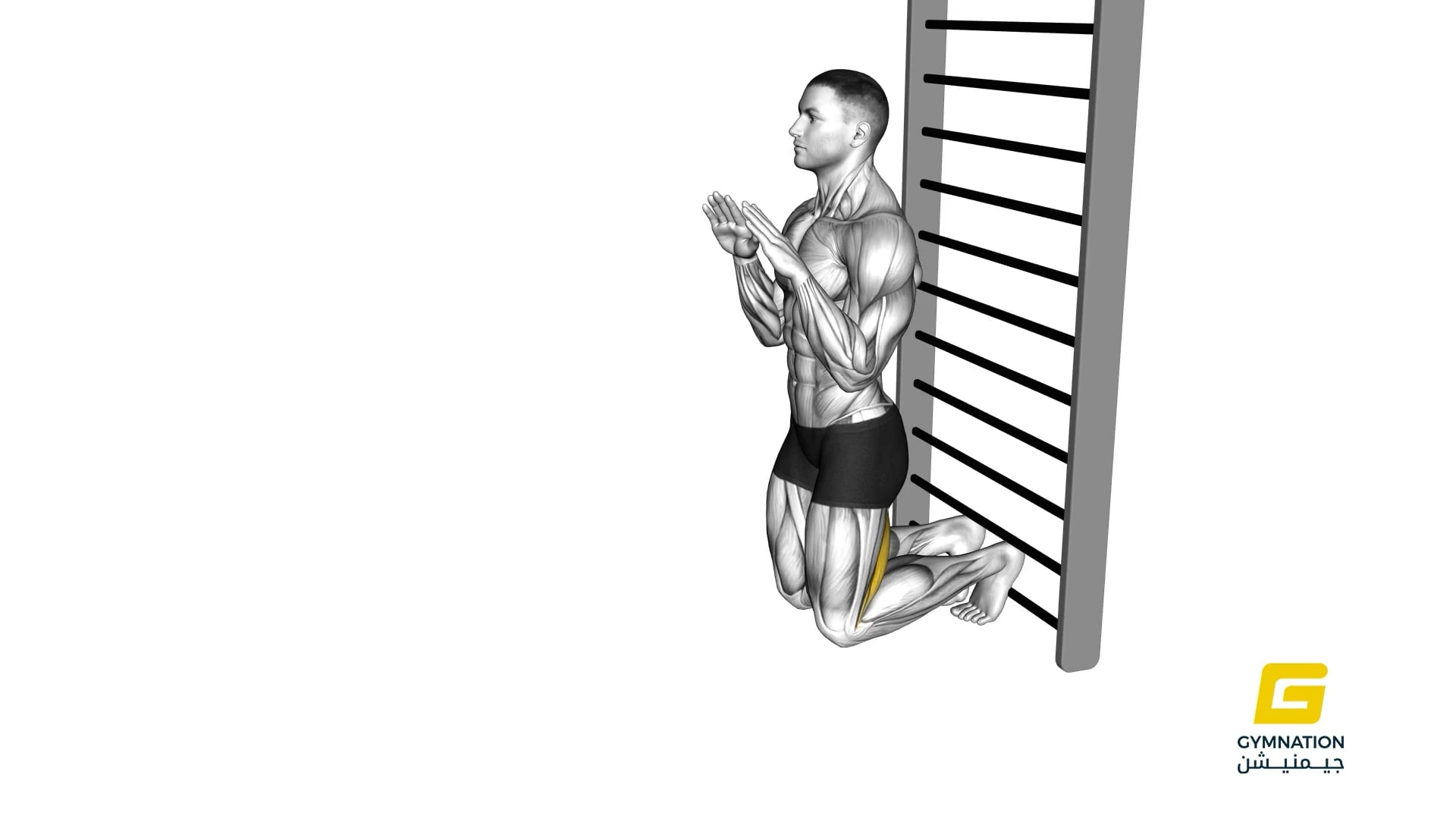 Nordic Hamstring Curl Thumb