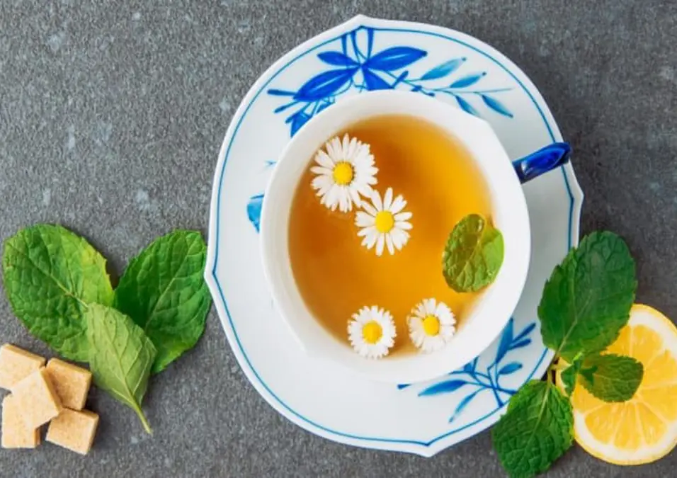 لقطة علوية لكوب من شاي البابونج مع زهور طازجة وأوراق نعناع، ومكعبات سكر وشريحة ليمون، تستكشف ما إذا كانت فوائد البابونج للتنحيف حقيقة أم مبالغة.